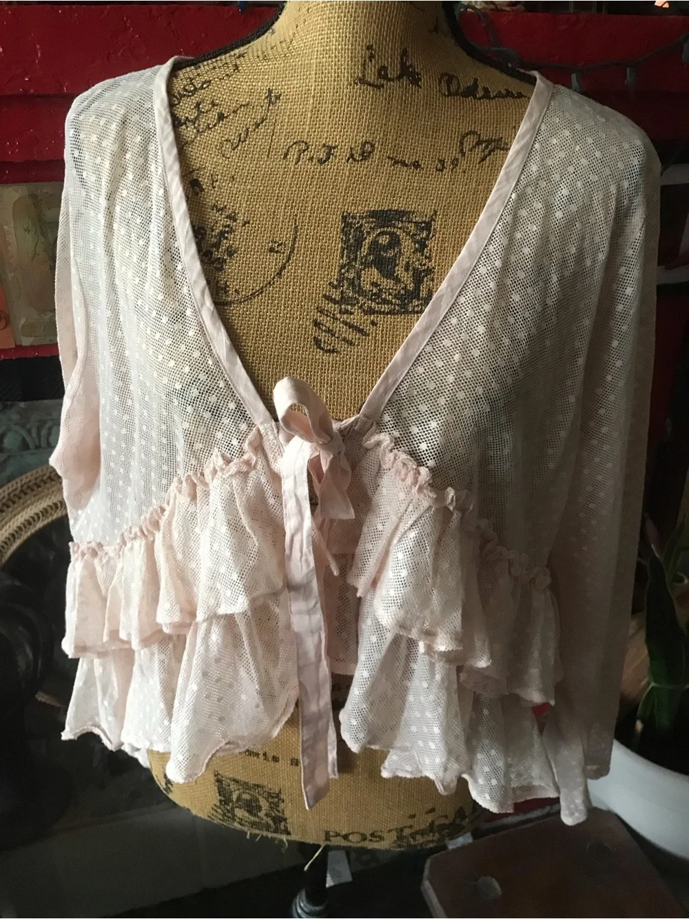 Heart’s Desire by Mary Grace Sheer Blush Pink Ruffled Tie-Front top - Picture 8 of 14